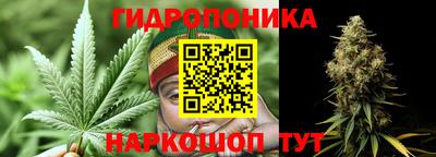 прущие грибы Рыбинск