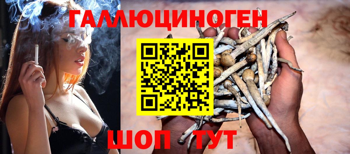 Псилоцибиновые грибы Magic Shrooms  Вход с VPN  Галлюциногенные грибы MAGIC MUSHROOMS  Обь 