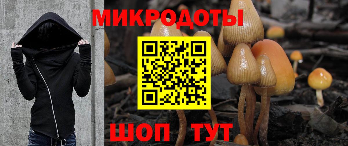 Псилоцибиновые грибы ЛСД Обь